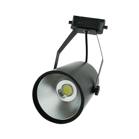 Đèn Rọi Ray 10W TP