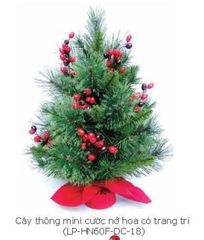 CÂY THÔNG MINI CƯỚC NỞ HOA