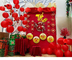 CONCEPT TẾT HIỆN ĐẠI  SET 11