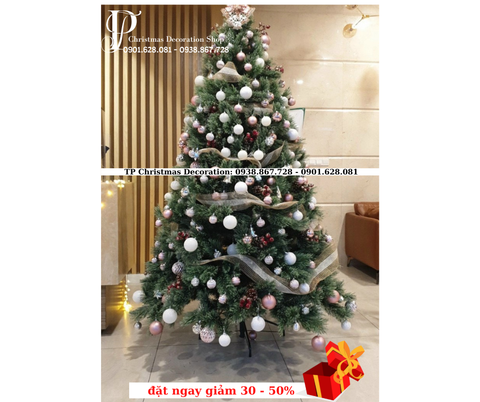 CÂY THÔNG 3 LOẠI LÁ CÓ TRÁI THÔNG CAO CẤP - LÁ DÀY - THÂN CÂY CHẮC CHẮN - CHƠI ĐƯỢC 5 MÙA NOEL
