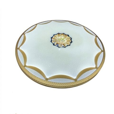 Đèn trang trí trần nhà Led 24W*2