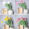 HOA TULIP - CAO SU NON