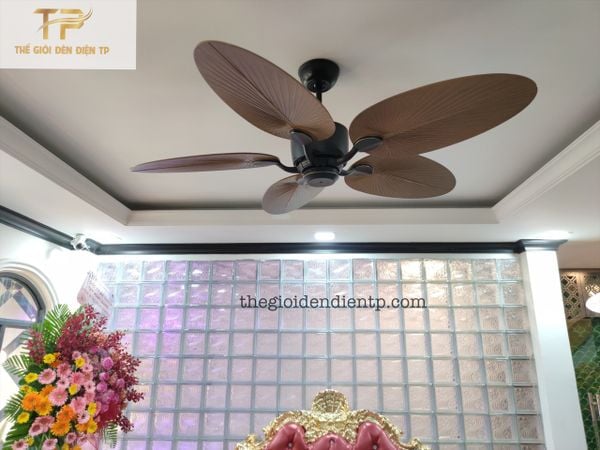 Quạt trần Casa cao cấp