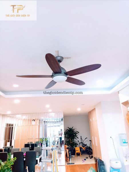 Quạt trần Daisy cánh gỗ cao cấp