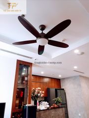 Quạt trần Daisy cánh gỗ cao cấp