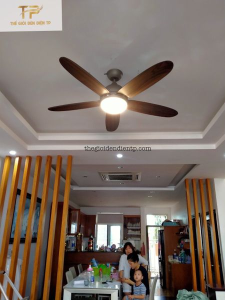 Quạt trần Daisy cánh gỗ cao cấp