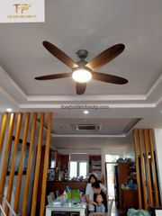 Quạt trần Daisy cánh gỗ cao cấp