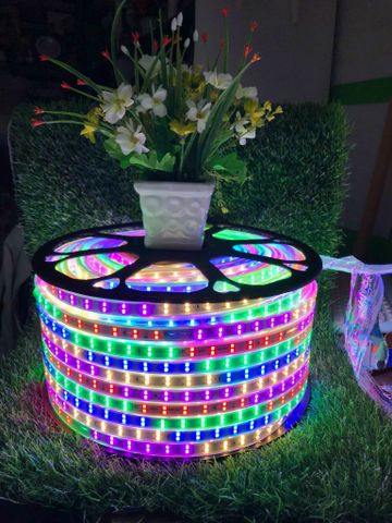 Led Dây Đuổi Màu