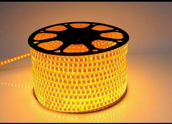 Led Dây Đơn Màu 220V