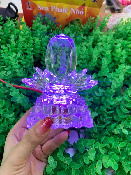 ĐÈN THỜ PHA LÊ CAO CẤP ( TP41)