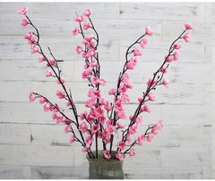 CÀNH HOA ĐÀO, MAI TÂY CAO CẤP