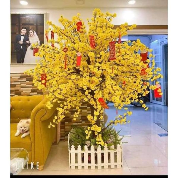 CÂY HOA MAI GIẢ ĐỦ SIZE