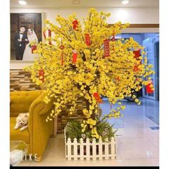 CÂY HOA MAI GIẢ ĐỦ SIZE