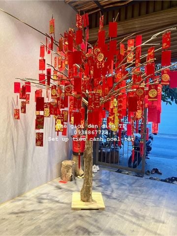 CÂY ƯỚC NGUYỆN - CẦU ĐƯỢC ƯỚC THẤY