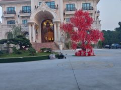 MẪU TRANG TRÍ TẾT HIỆN ĐẠI 2024