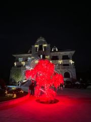 MẪU TRANG TRÍ TẾT HIỆN ĐẠI 2024