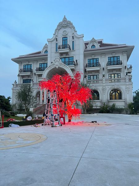 MẪU TRANG TRÍ TẾT HIỆN ĐẠI 2024