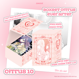  Citrus - Tập 10 