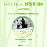  Gấu Trúc Manh Lan - Panda Menglan 