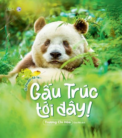 Gấu Trúc Tới Đây!