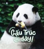  Gấu Trúc Tới Đây! 