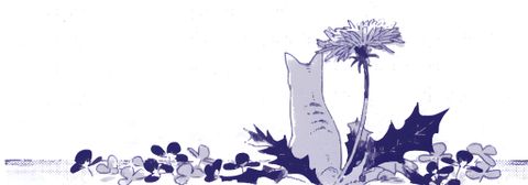 Người Lạ Bên Bờ Biển (L'étranger du Plage)