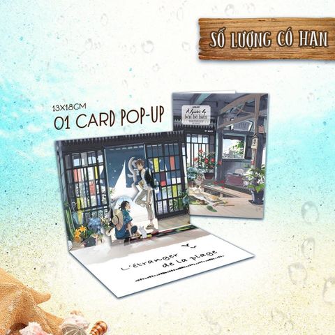 Người Lạ Bên Bờ Biển (L'étranger du Plage)