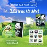  Gấu Trúc Tới Đây! 