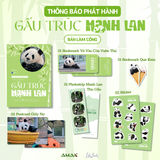  Gấu Trúc Manh Lan - Panda Menglan 