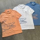  Áo Polo LACOSTE regular fit 