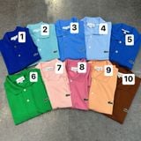  Áo Polo LACOSTE class fit basic 