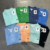  Áo Polo LACOSTE slim fit basic 