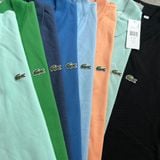  Áo Polo LACOSTE slim fit basic 
