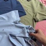  Áo Polo TOMMY basic logo 