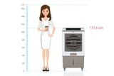  KG50F79N - Quạt Hơi Nước Kangaroo - Dưới 40m² 