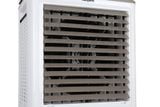  KG50F79N - Quạt Hơi Nước Kangaroo - Dưới 40m² 