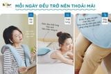  MA-B01V1 - Máy Đấm Lưng Massage Bear 
