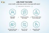  MA-B01V1 - Máy Đấm Lưng Massage Bear 