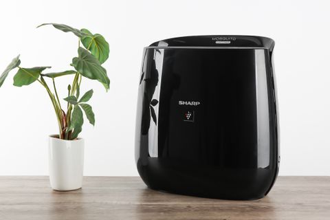 FP-JM30V-B - Máy Lọc Không Khí & Bắt Muỗi Sharp _ 23m²