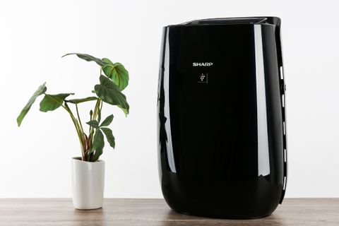 FP-JM40V-B - Máy Lọc Không Khí & Bắt Muỗi Sharp _ 30m²