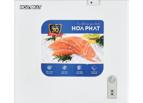  HPF-AN6162 - TỦ ĐÔNG 162 LÍT HÒA PHÁT 