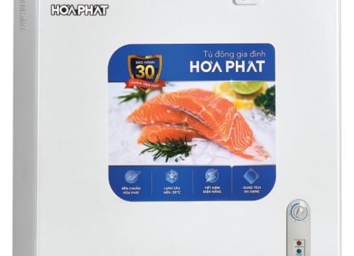  HPF-AN6162 - TỦ ĐÔNG 162 LÍT HÒA PHÁT 