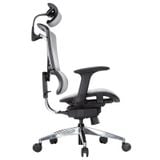 Ghế công thái học GTChair Isee M