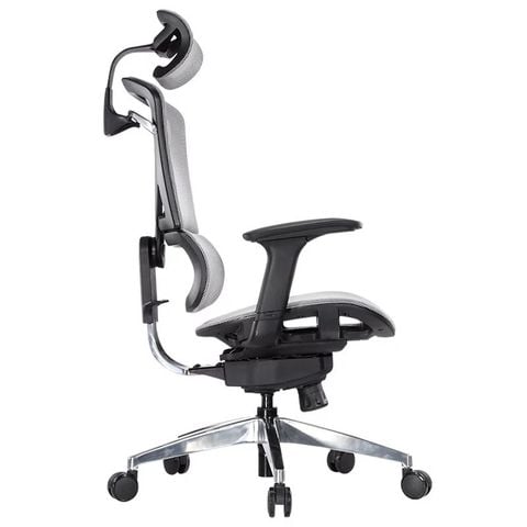 Ghế công thái học GTChair Isee M