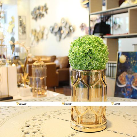 Decor Chậu hoa thủy tinh hình lục giác