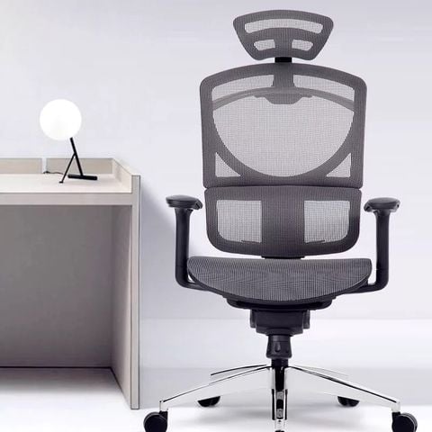 Ghế công thái học GTChair Isee M