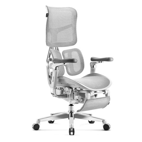 Ghế công thái học Sihoo S300