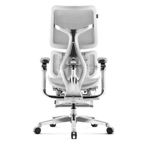 Ghế công thái học Sihoo S300