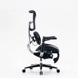 Ghế công thái học Sihoo S300