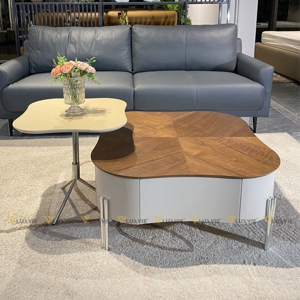 Bàn trà đôi chiếc lá BTDC